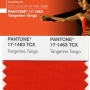 Tangerine Tango: a cor do ano de 2012